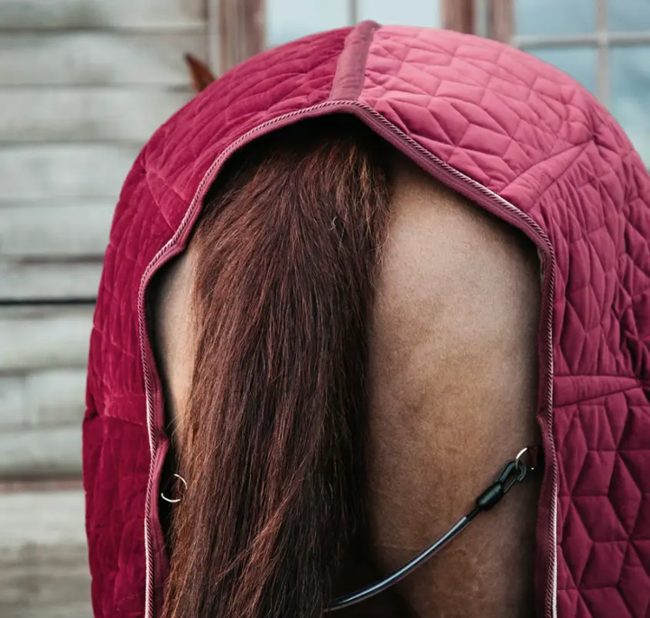 velvetshow#color_bordeaux