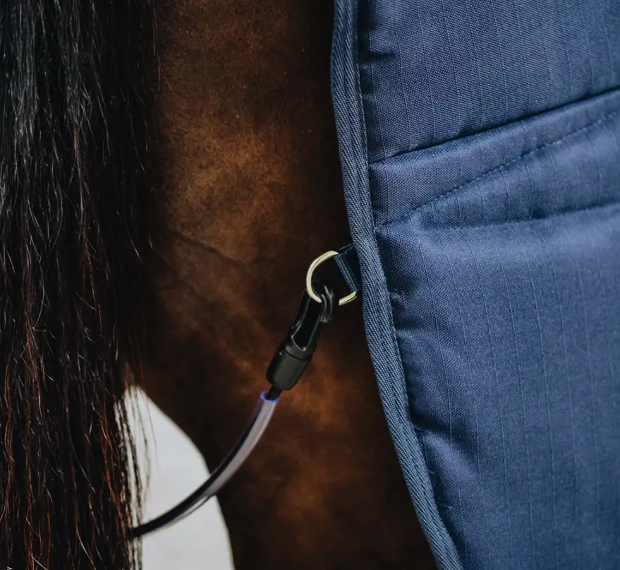 Kentucky Stable Rug Classic Kentucky Horsewear