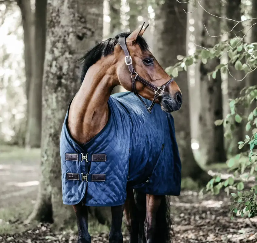 KYstablerug#color_navy