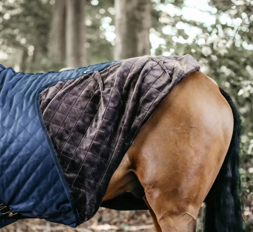 KYstablerug#color_navy