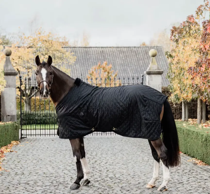 KYstablerug#color_black-black