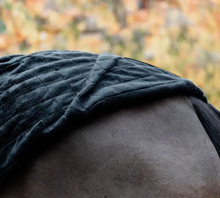 KYstablerug#color_black-black