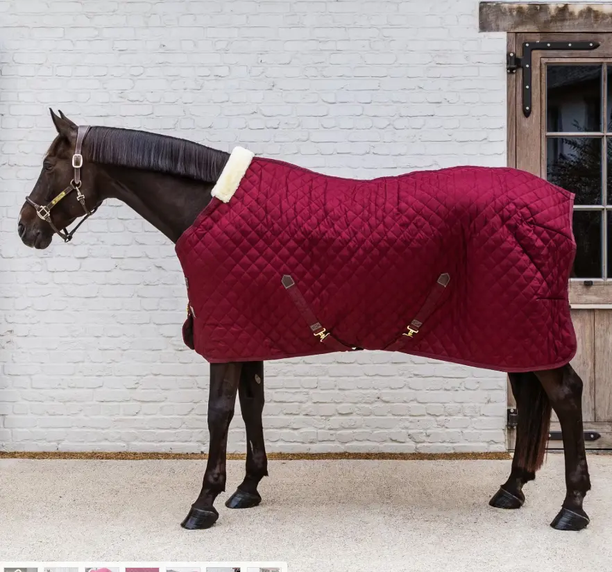 KYstablerug#color_bordeaux