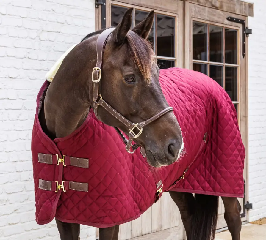 KYstablerug#color_bordeaux