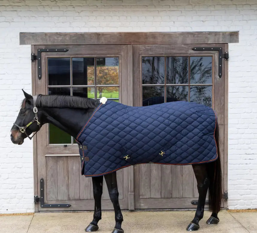 KYStableWave#color_navy