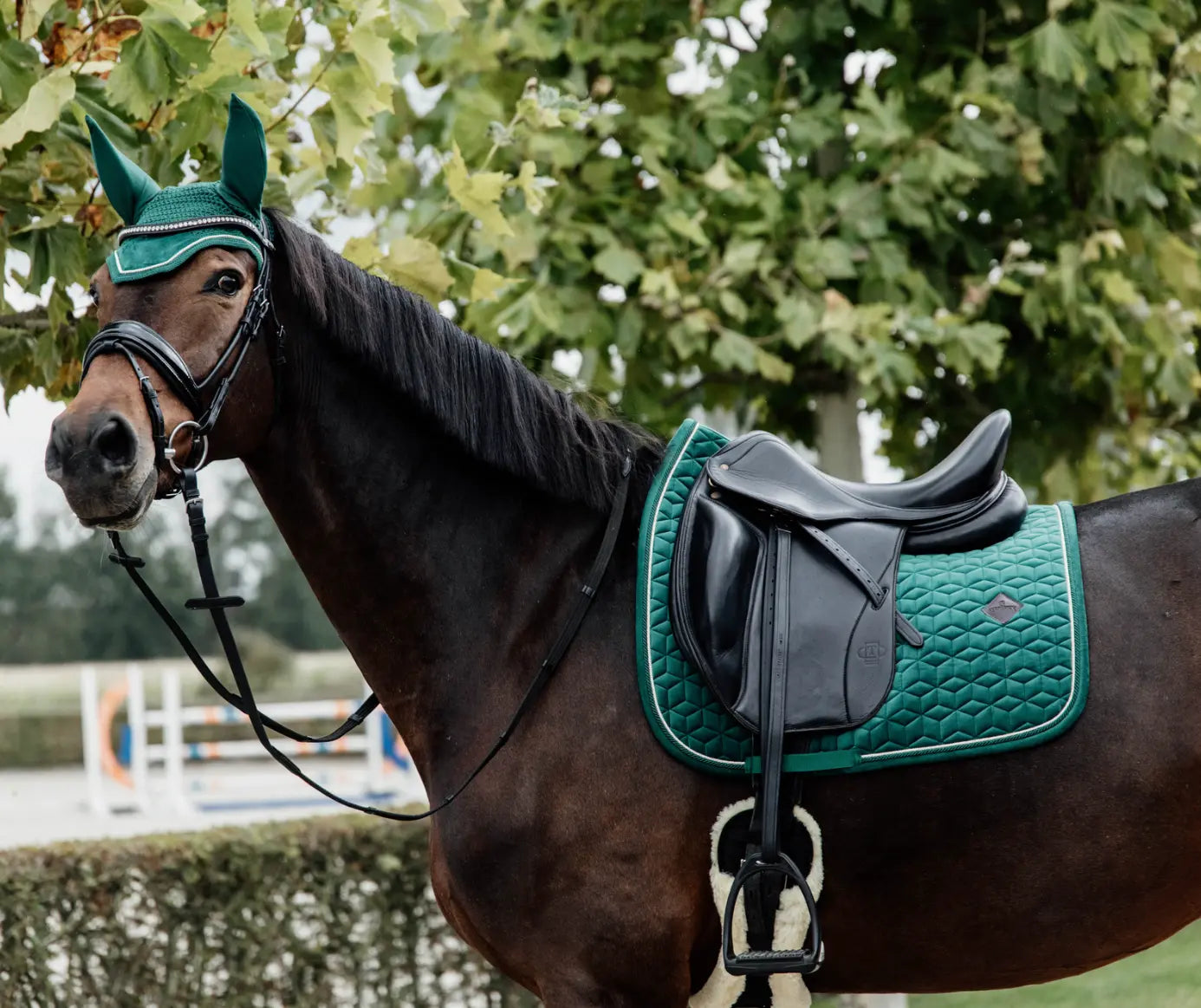 Kentucky Velvet Collection Saddle Pad Dressage Kentucky Horsewear