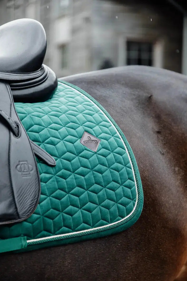 Kentucky Velvet Collection#color_dark-hunter-green