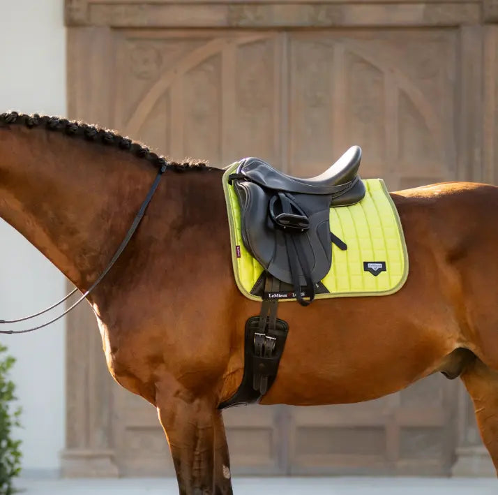 Loire Memory Foam Dressage Pad - Kiwi LeMieux
