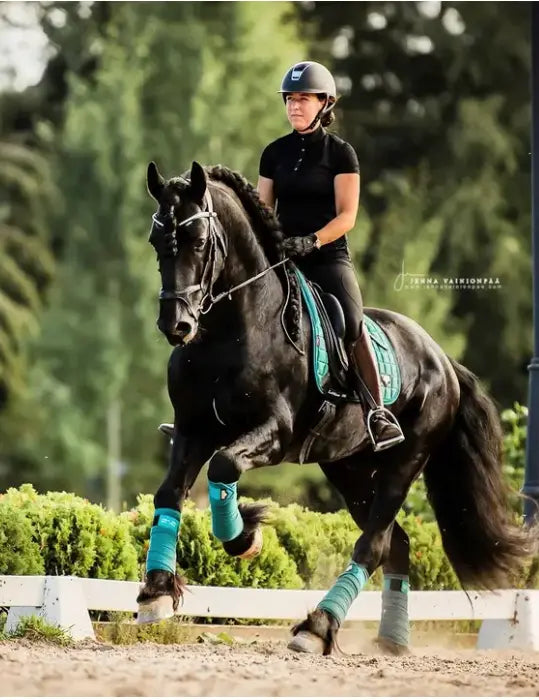 Loire Memory Foam Dressage Pad - Peacock Blue LeMieux