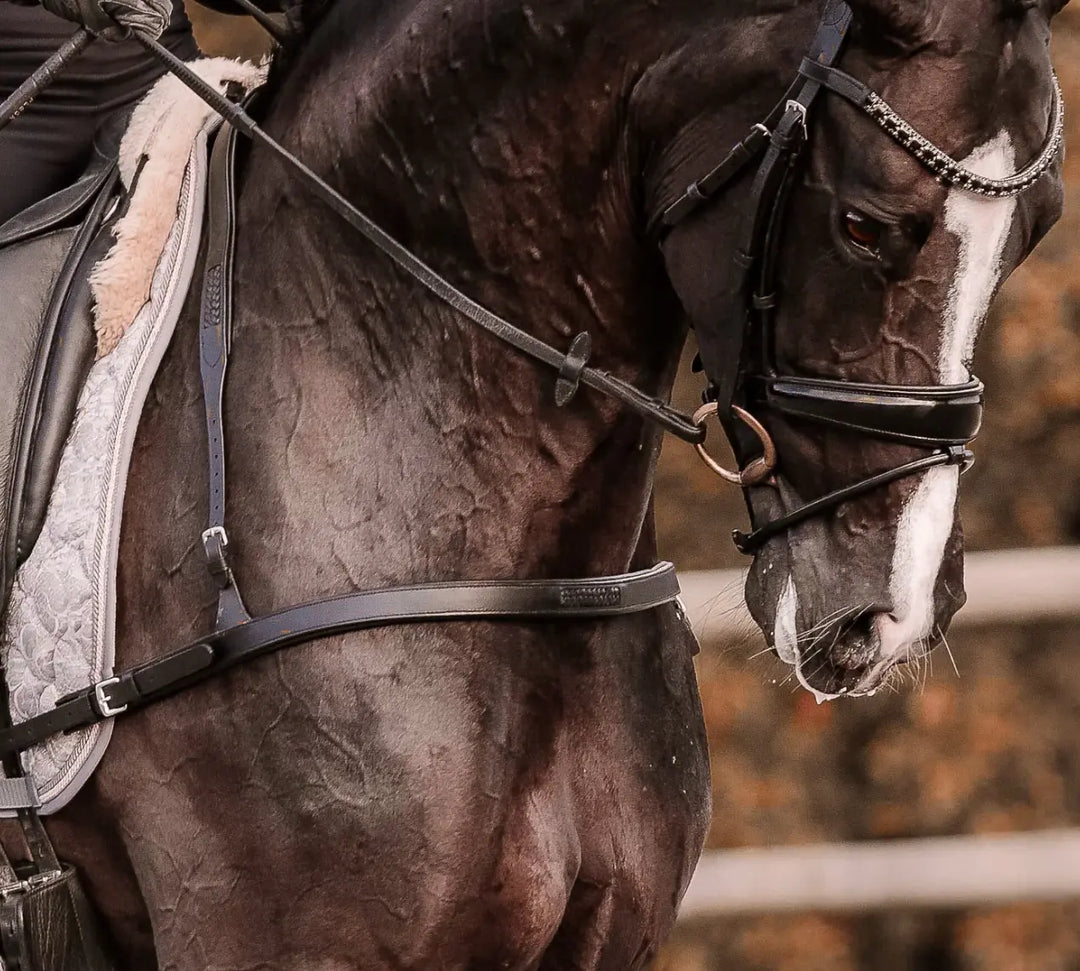 Lumiere Alicia Leather Dressage Breastplate Lumiere