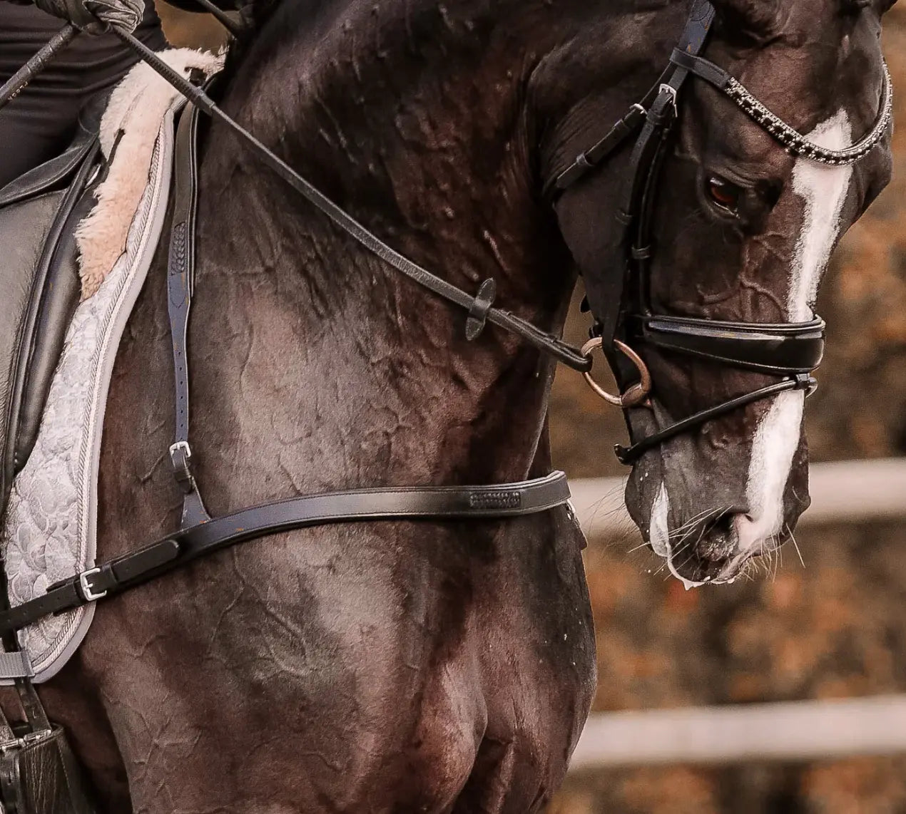 Lumiere Alicia Leather Dressage Breastplate Lumiere