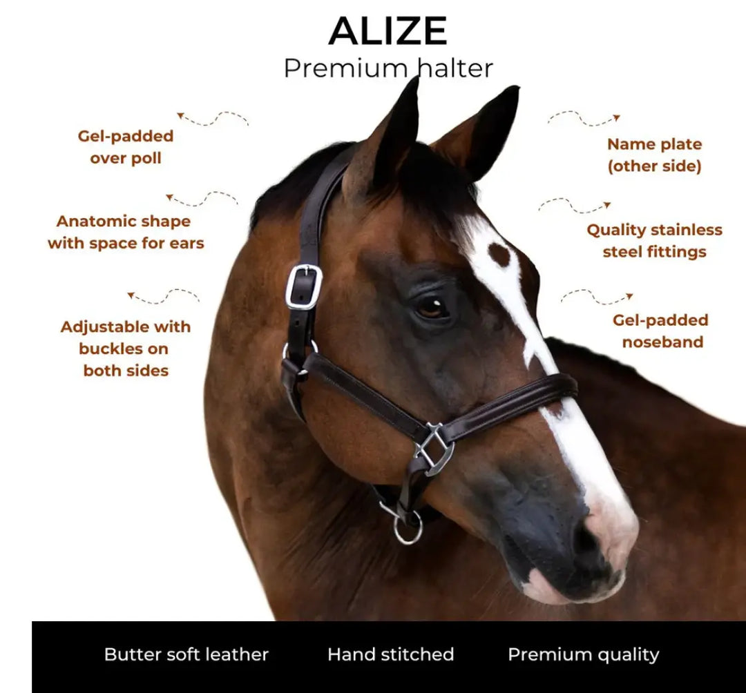 Lumiere Alize Black Leather Halter Lumiere