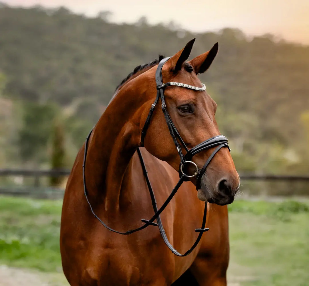 Lumiere Amie Flat Black Patent Leather Bridle