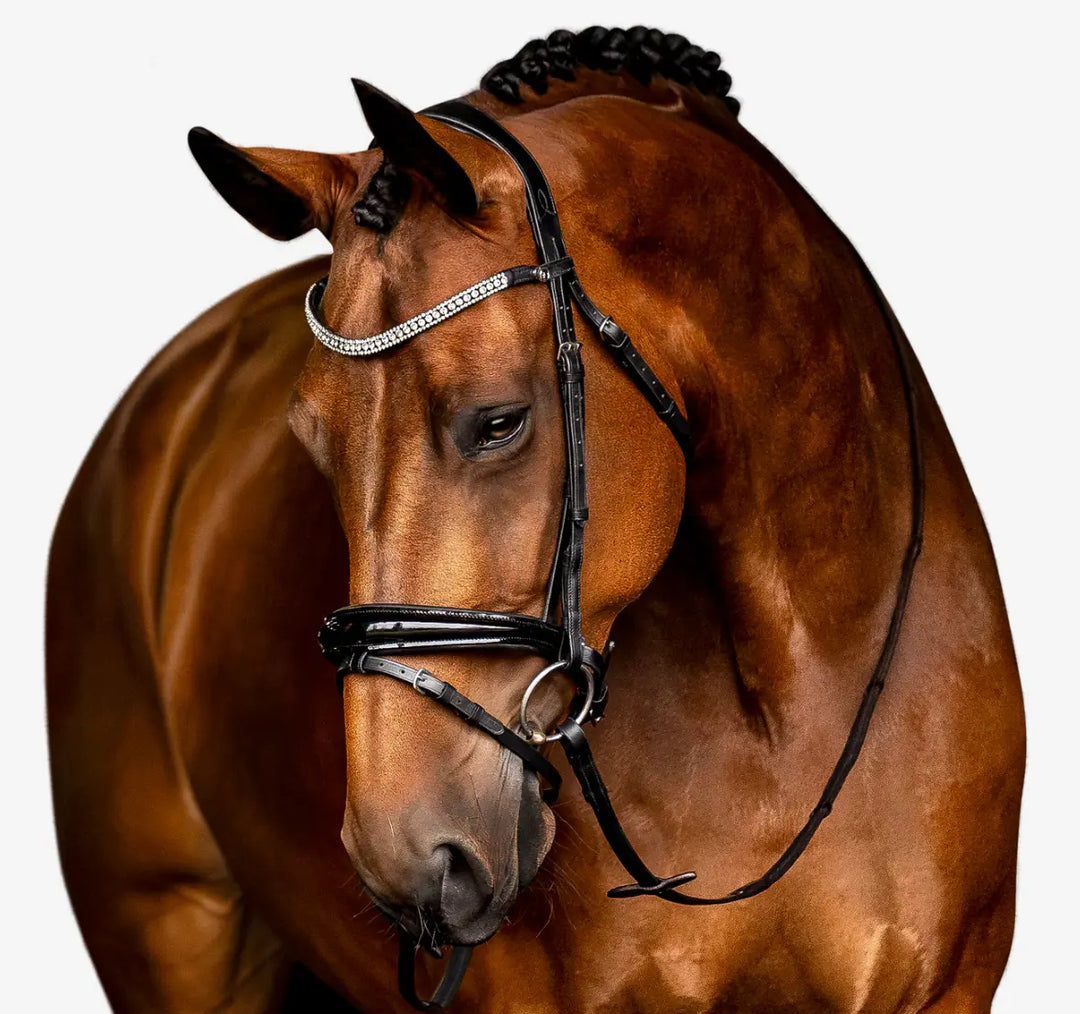 Lumiere Amie Flat Black Patent Leather Bridle