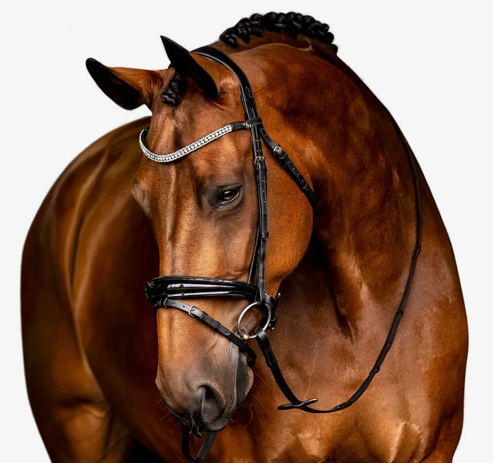 Lumiere Amie Flat Black Patent Leather Bridle