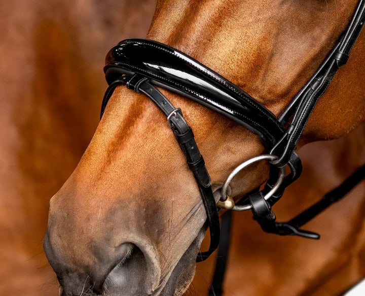 Lumiere Amie Flat Black Patent Leather Bridle
