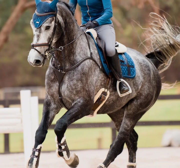 Lumiere Anka Leather Breastplate