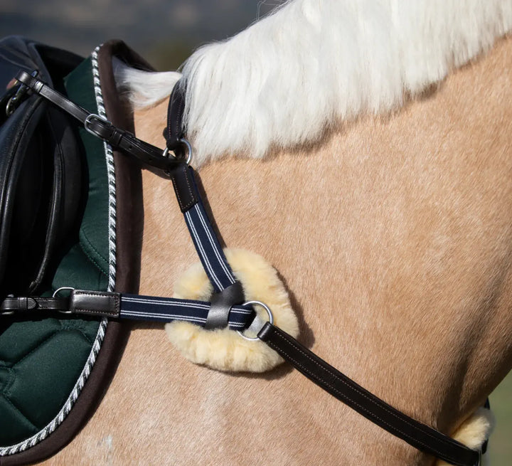 Lumiere Antiqua 5-Point Leather Breastplate