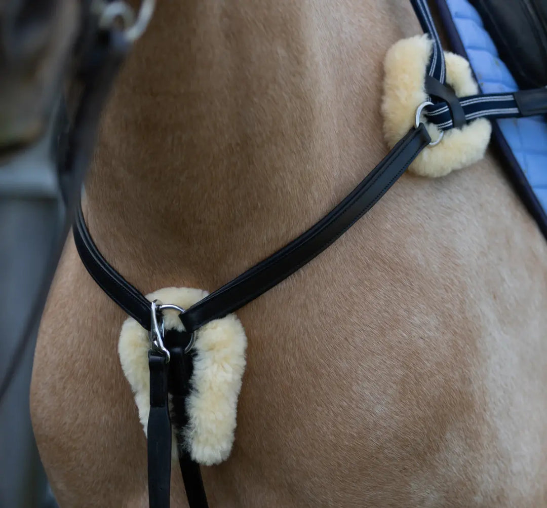 Lumiere Antiqua 5-Point Leather Breastplate