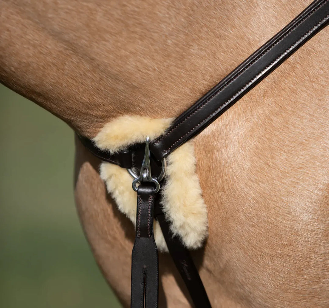 Lumiere Antiqua 5-Point Leather Breastplate