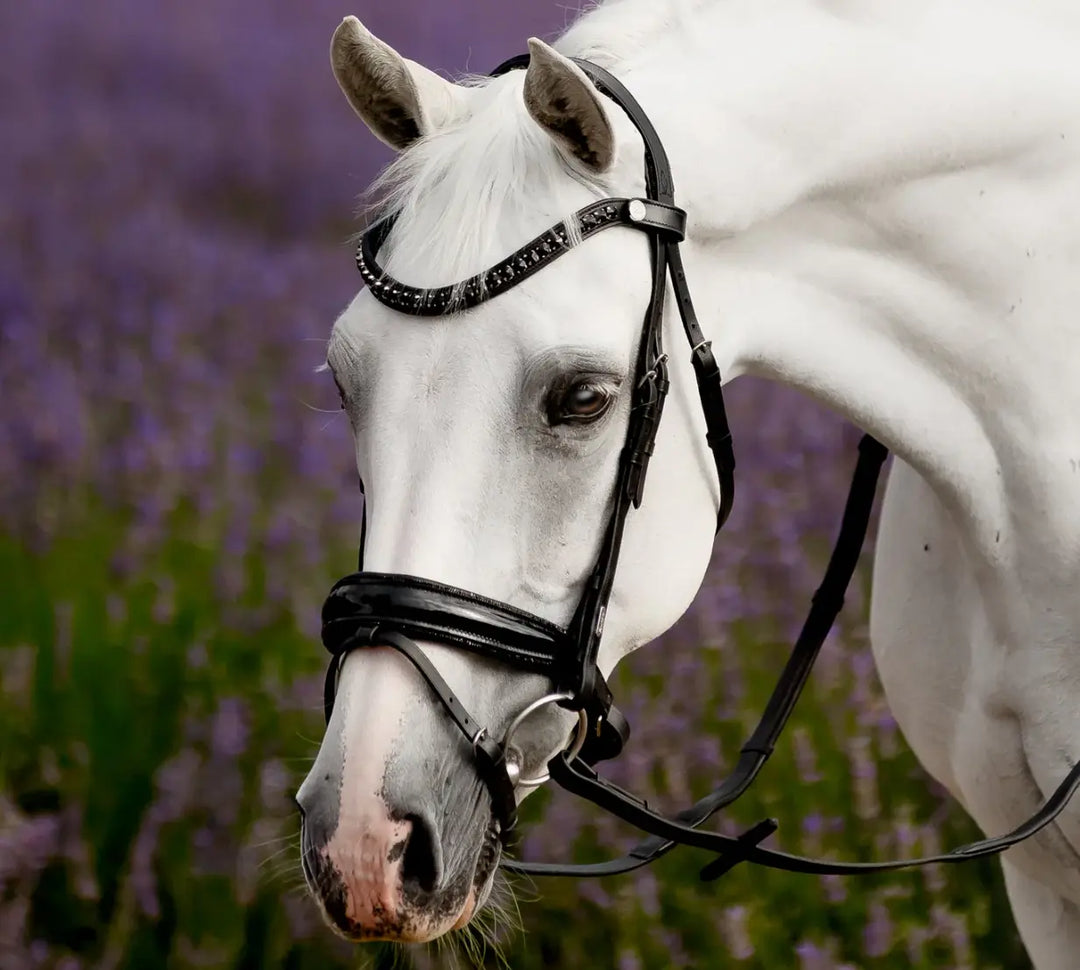 Lumiere Arcadia Crystal Piping Dressage Bridle