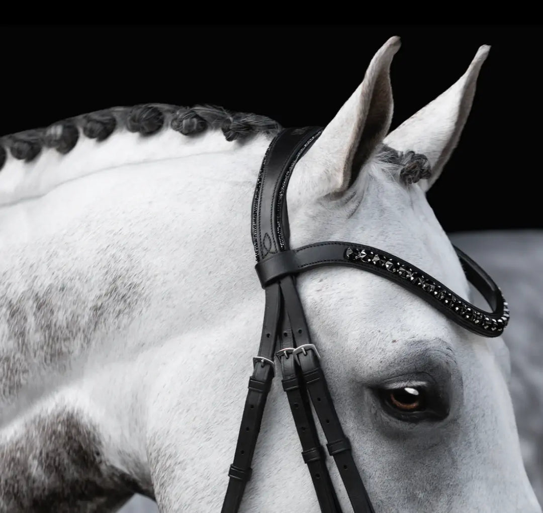 Lumiere Arcadia Crystal Piping Dressage Bridle