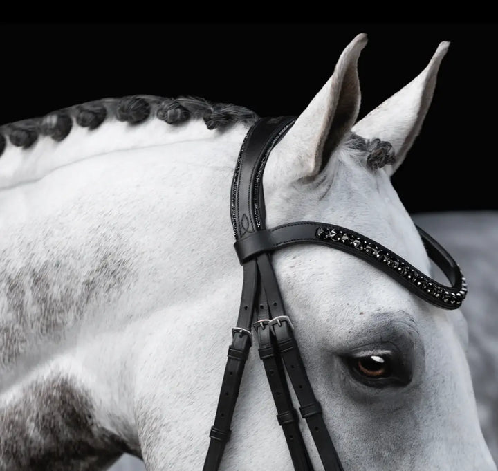 Lumiere Arcadia Crystal Piping Dressage Bridle