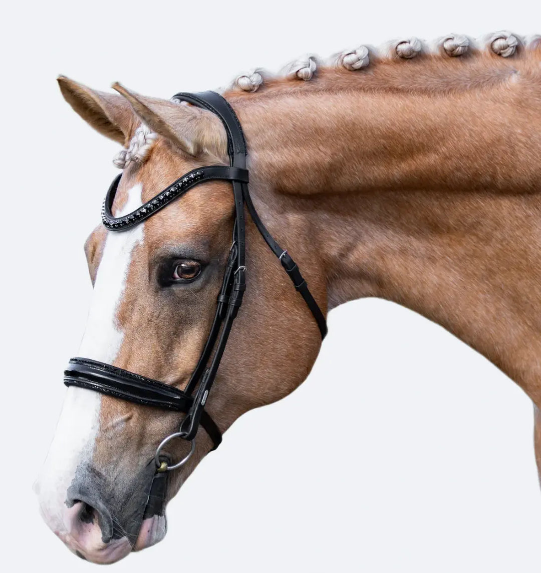 Lumiere Arcadia Crystal Piping Dressage Bridle