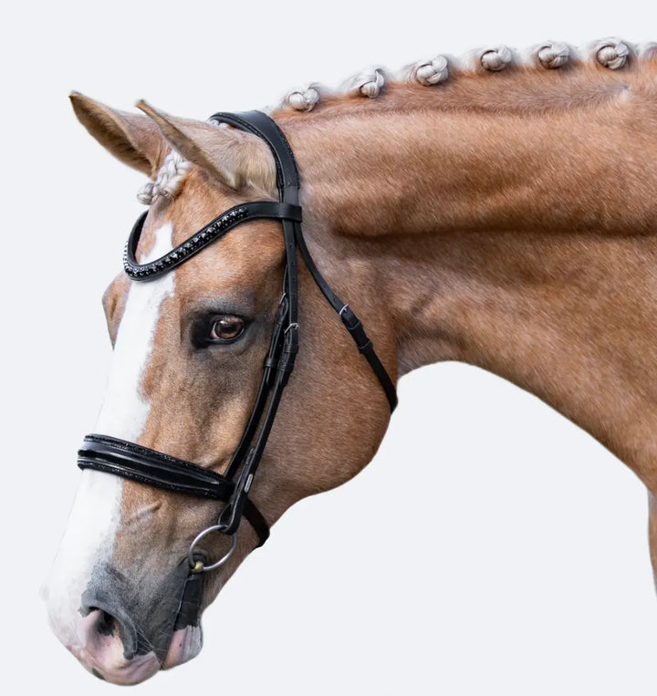 Lumiere Arcadia Crystal Piping Dressage Bridle