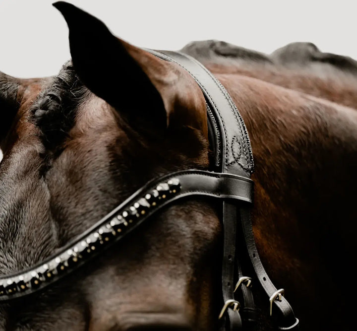Lumiere Arcadia Crystal Piping Dressage Bridle