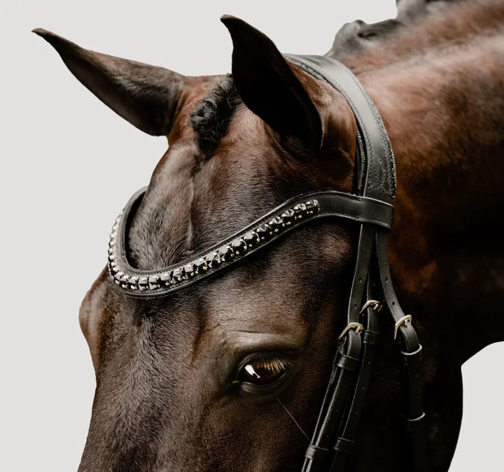 Lumiere Arcadia Crystal Piping Dressage Bridle