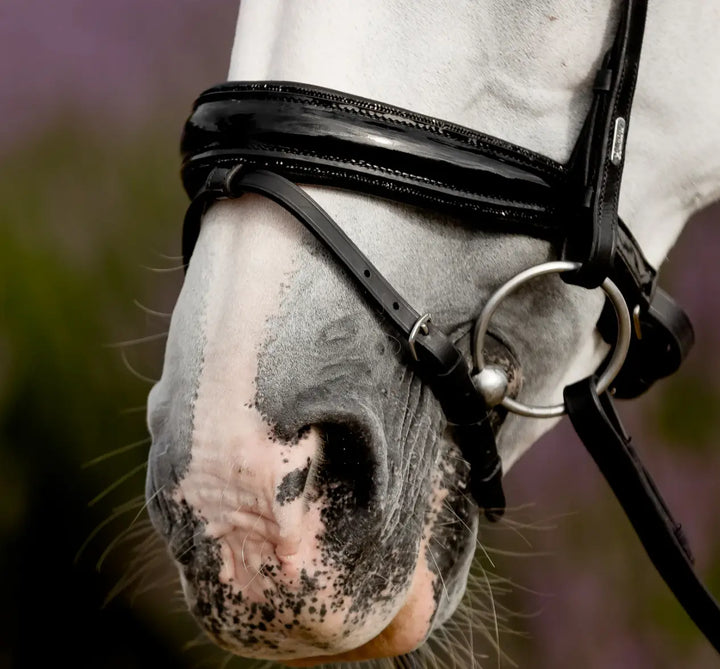 Lumiere Arcadia Crystal Piping Dressage Bridle