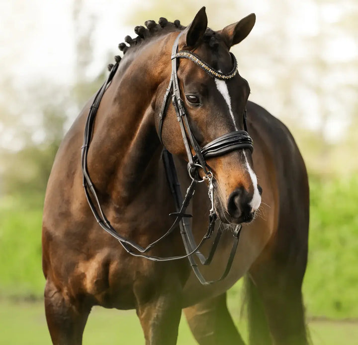 Lumiere Ariana Double Dressage Bridle