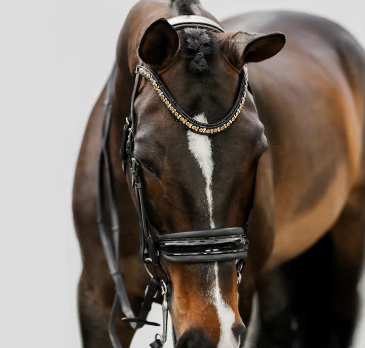 Lumiere Ariana Double Dressage Bridle
