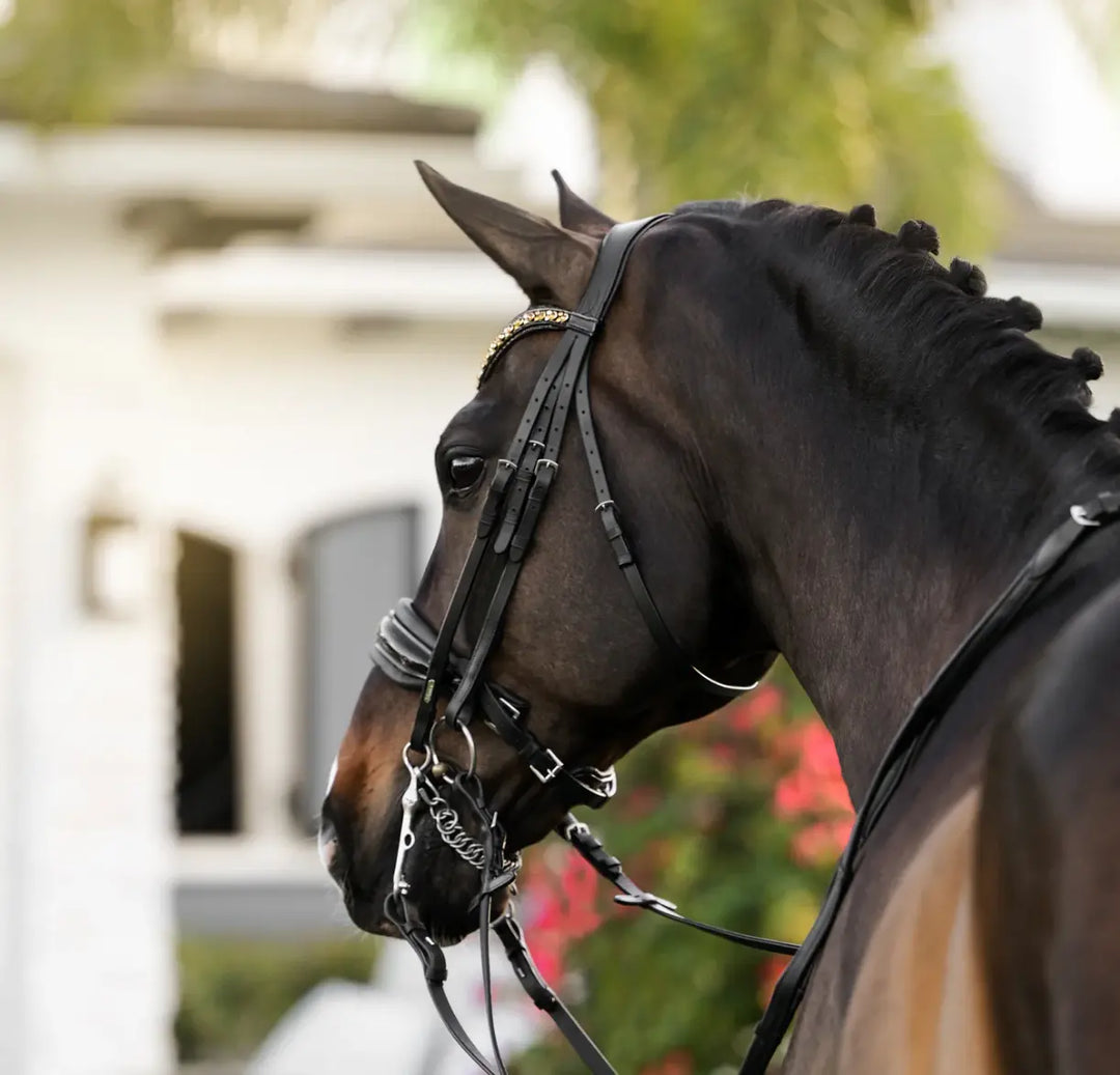 Lumiere Ariana Double Dressage Bridle