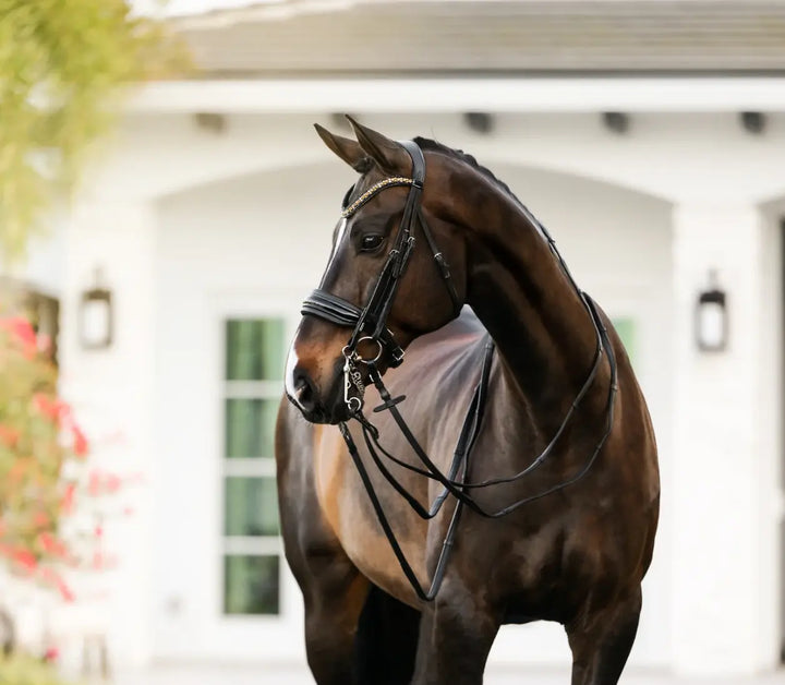 Lumiere Ariana Double Dressage Bridle