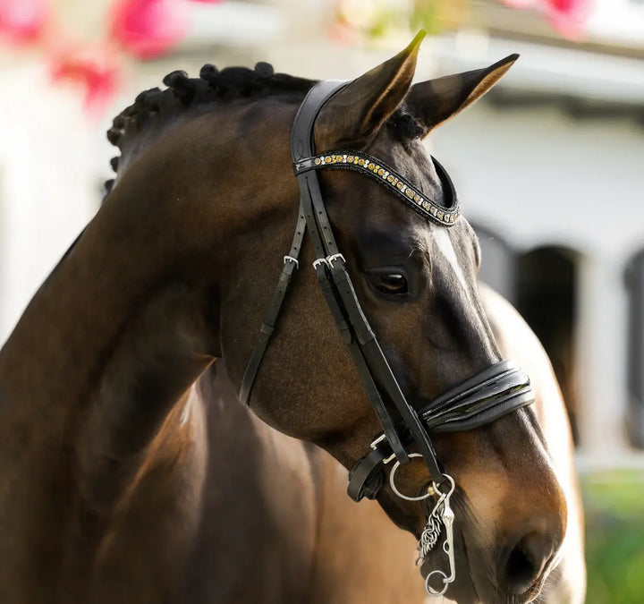 Lumiere Ariana Double Dressage Bridle