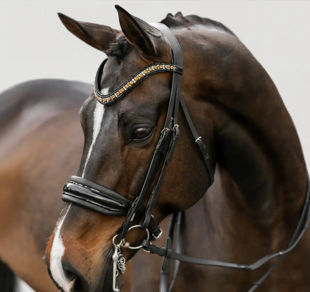 Lumiere Ariana Double Dressage Bridle