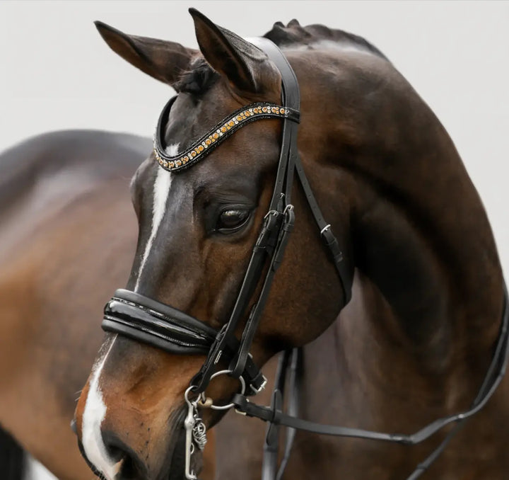 Lumiere Ariana Double Dressage Bridle