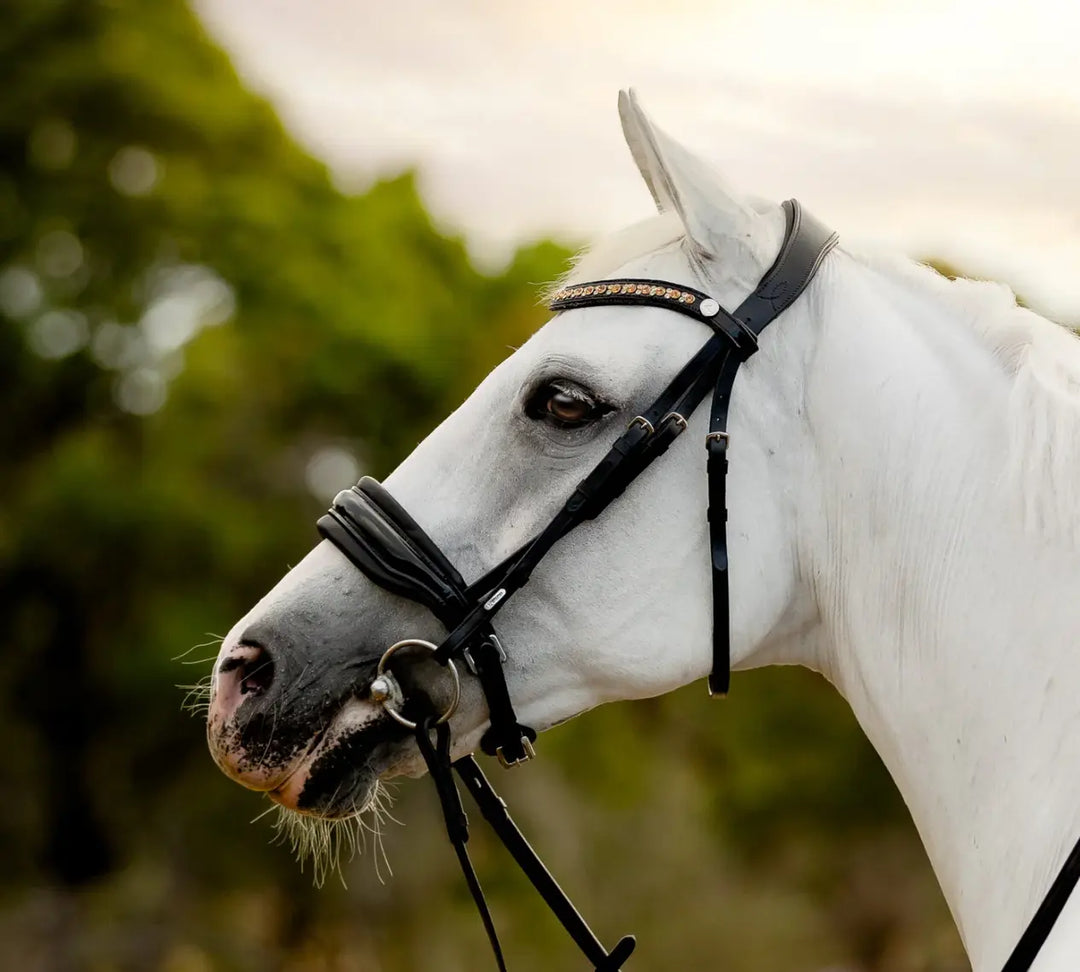 Lumiere Ariana Snaffle Dressage Bridle Lumiere