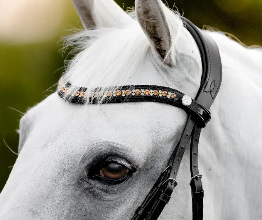 Lumiere Ariana Snaffle Dressage Bridle Lumiere