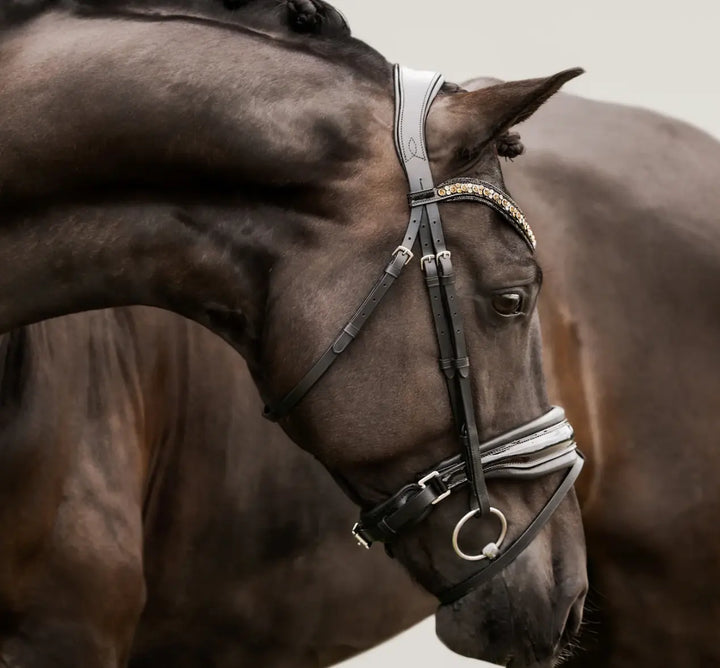 Lumiere Ariana Snaffle Dressage Bridle