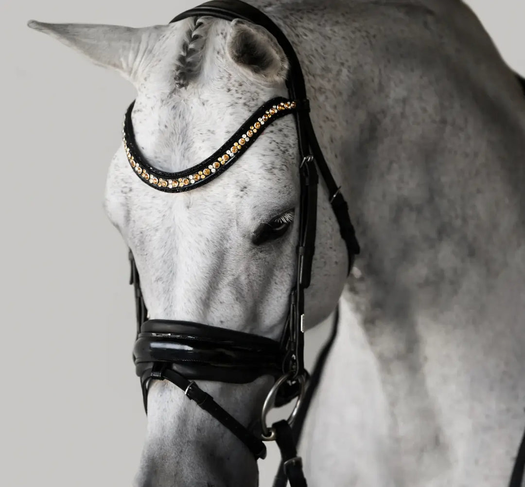 Lumiere Ariana Snaffle Dressage Bridle