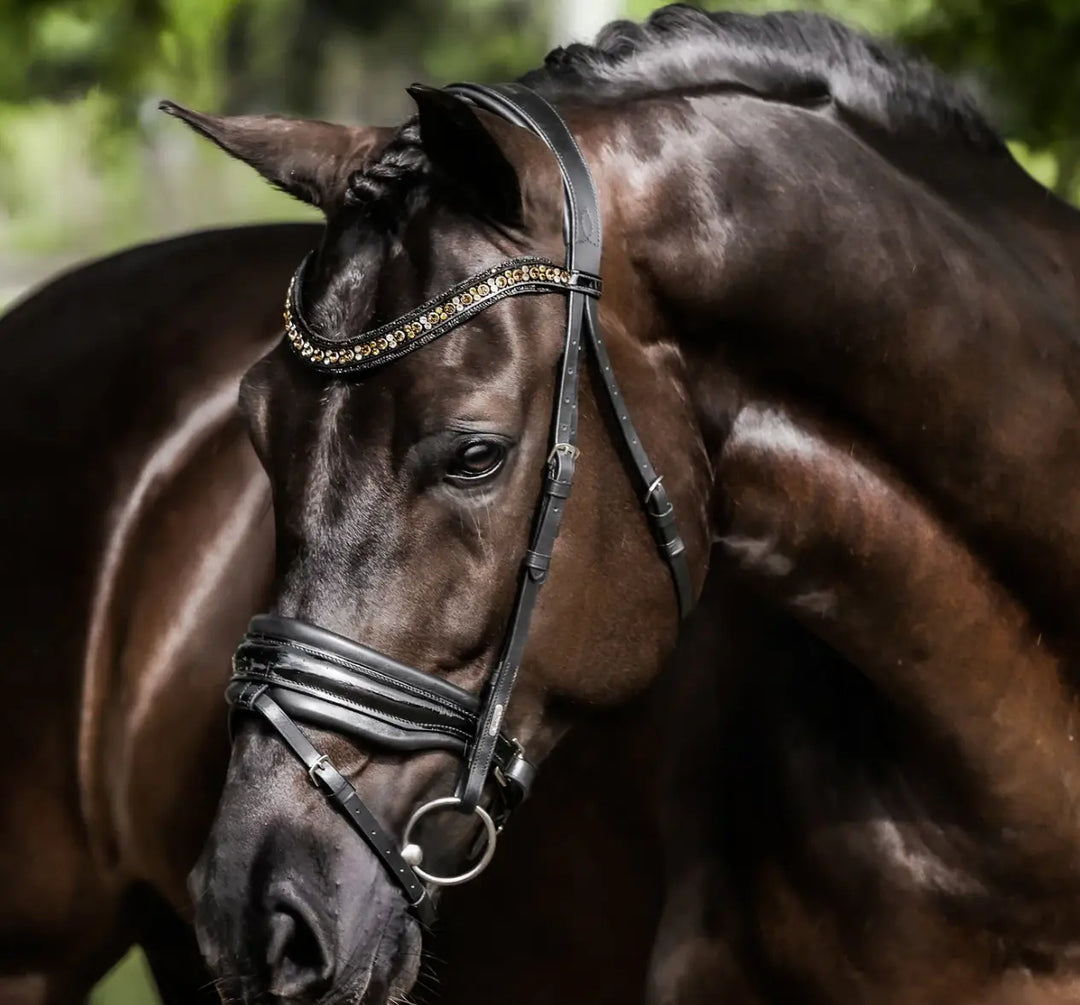Lumiere Ariana Snaffle Dressage Bridle