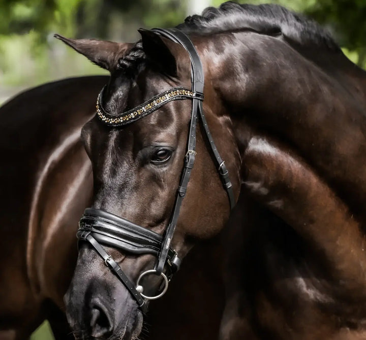 Lumiere Ariana Snaffle Dressage Bridle