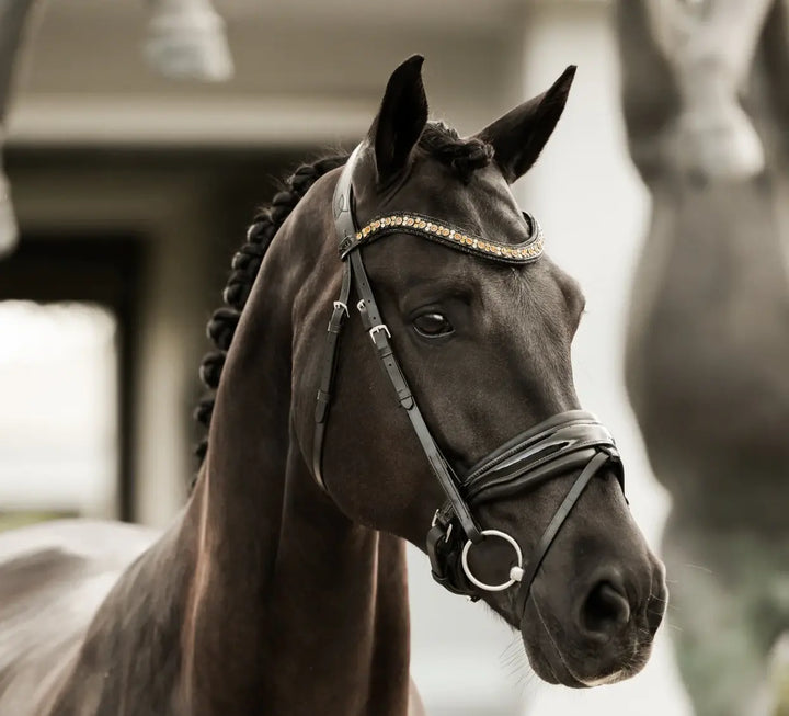 Lumiere Ariana Snaffle Dressage Bridle