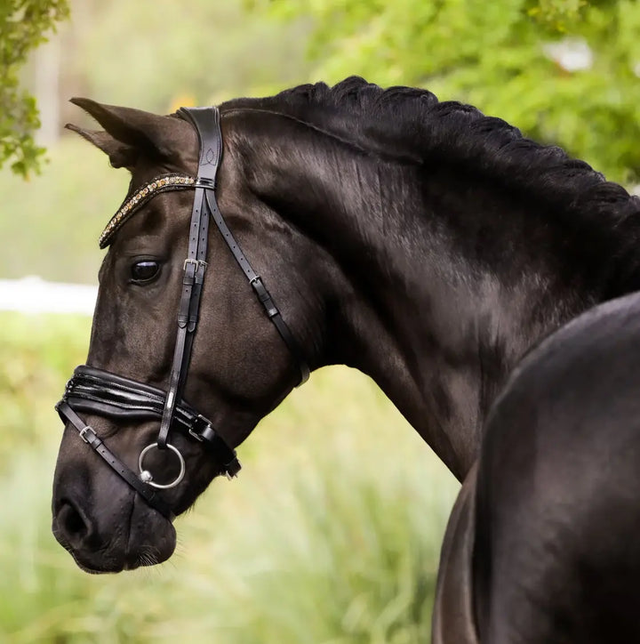 Lumiere Ariana Snaffle Dressage Bridle