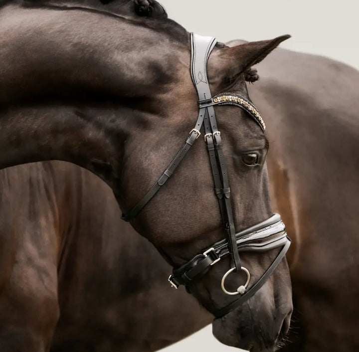 Lumiere Ariana Snaffle Dressage Bridle