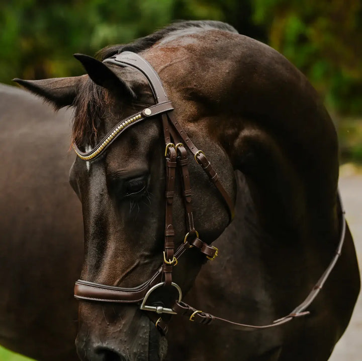 Lumiere Dallas Multi Jump Bridle
