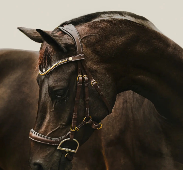 Lumiere Dallas Multi Jump Bridle